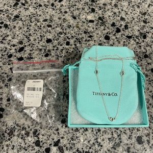 COPY - Tiffany’s Color By The Yard Necklace - Aquamarine.